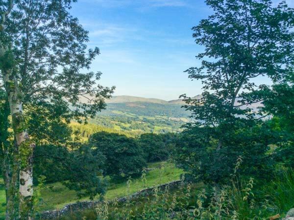Tyn Llwyn Villa Dolgellau Buitenkant foto